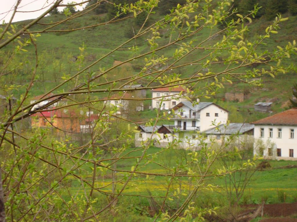Kuma Lissa Guest House Kozsari Kültér fotó