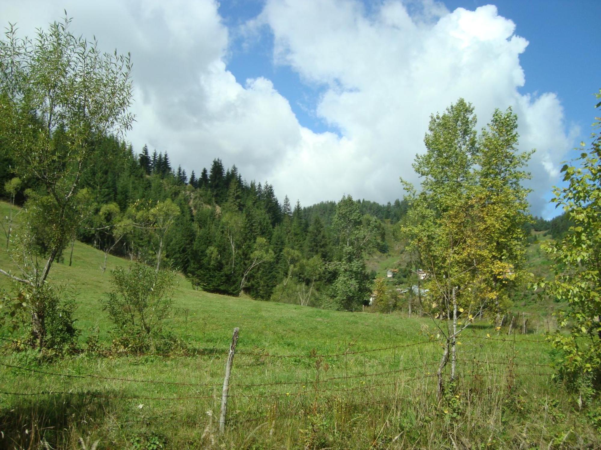 Kuma Lissa Guest House Kozsari Kültér fotó