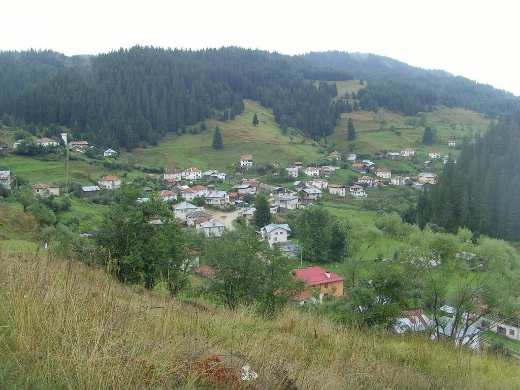 Kuma Lissa Guest House Kozsari Kültér fotó