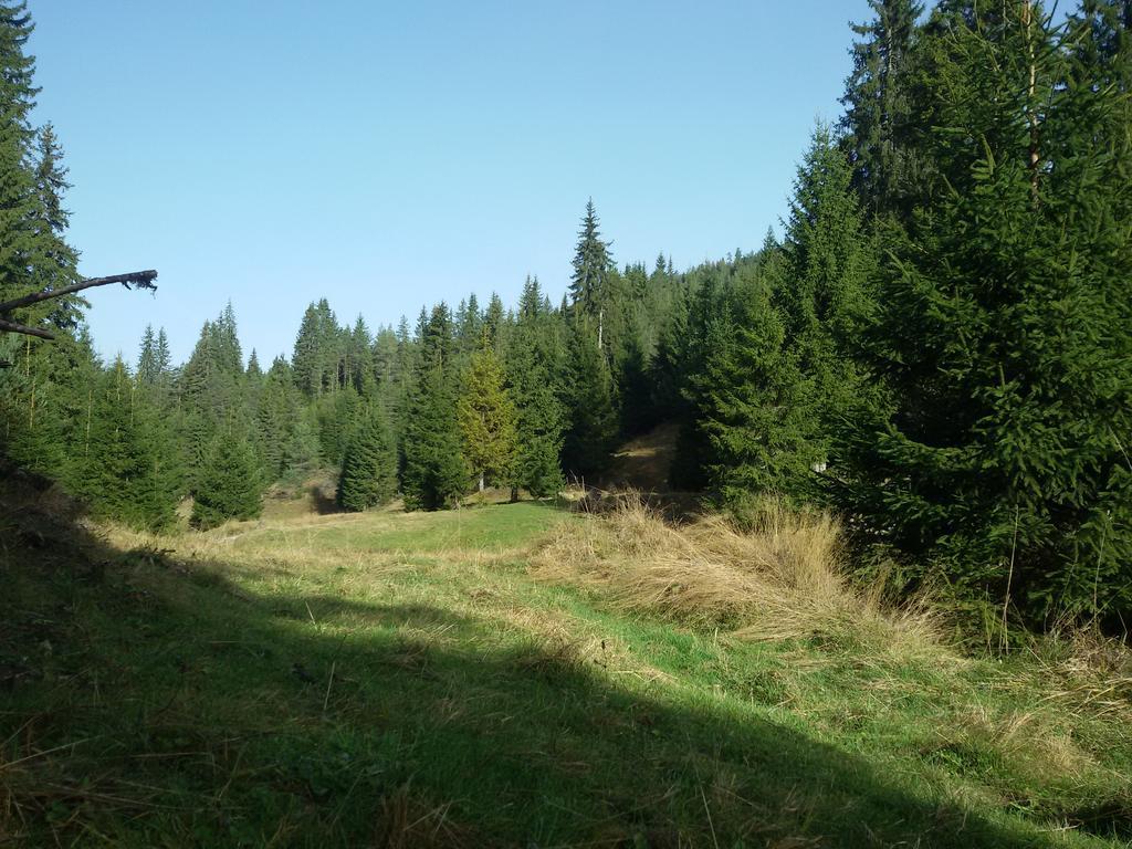 Kuma Lissa Guest House Kozsari Kültér fotó