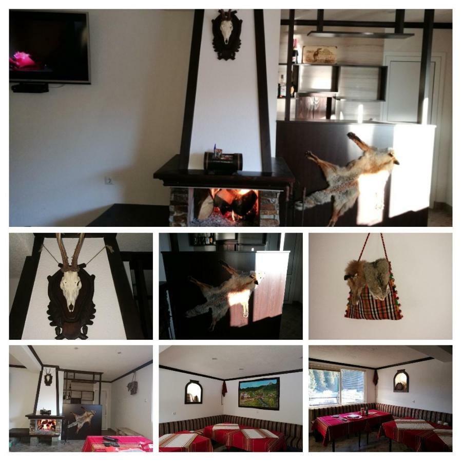Kuma Lissa Guest House Kozsari Kültér fotó